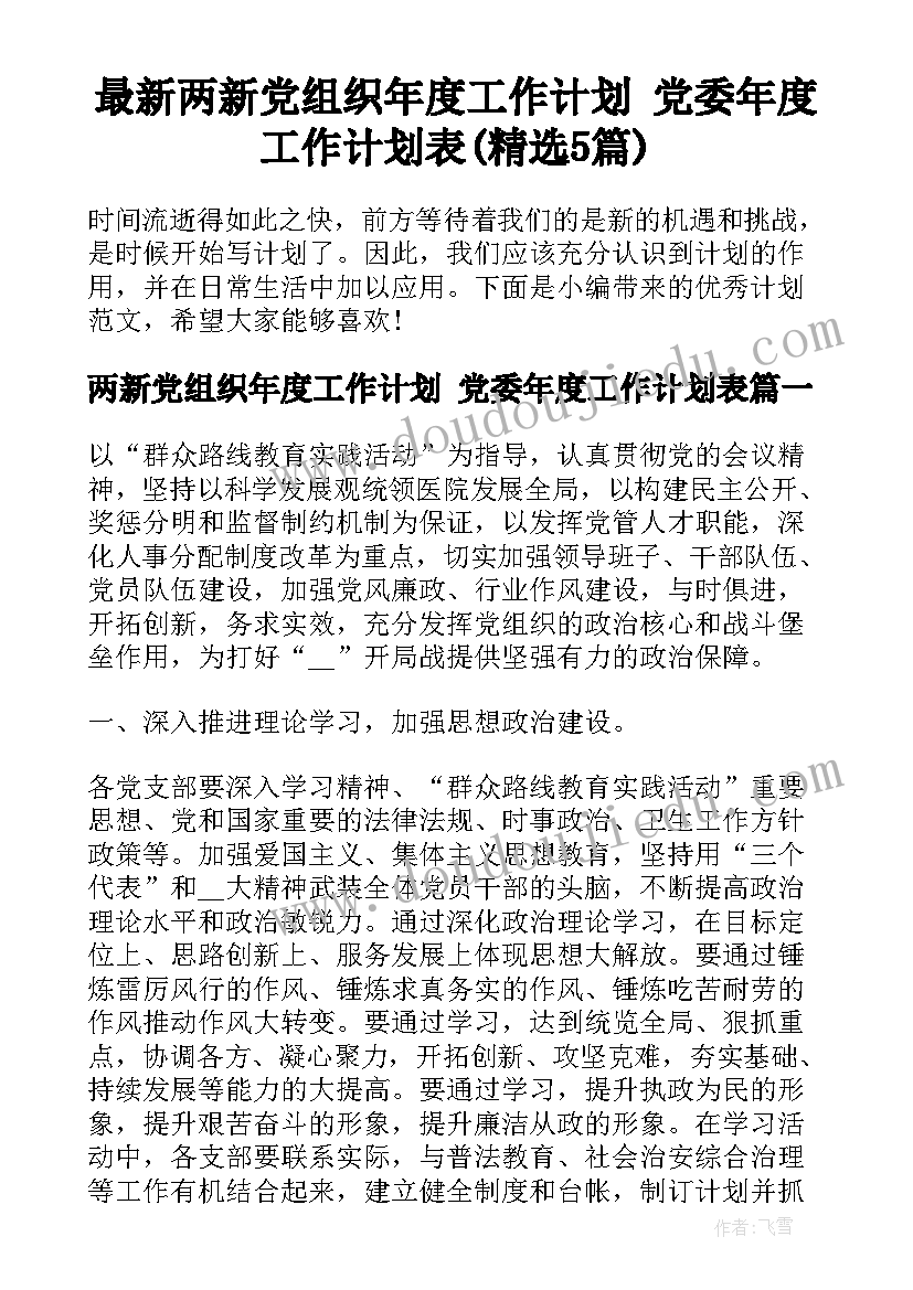 最新两新党组织年度工作计划 党委年度工作计划表(精选5篇)