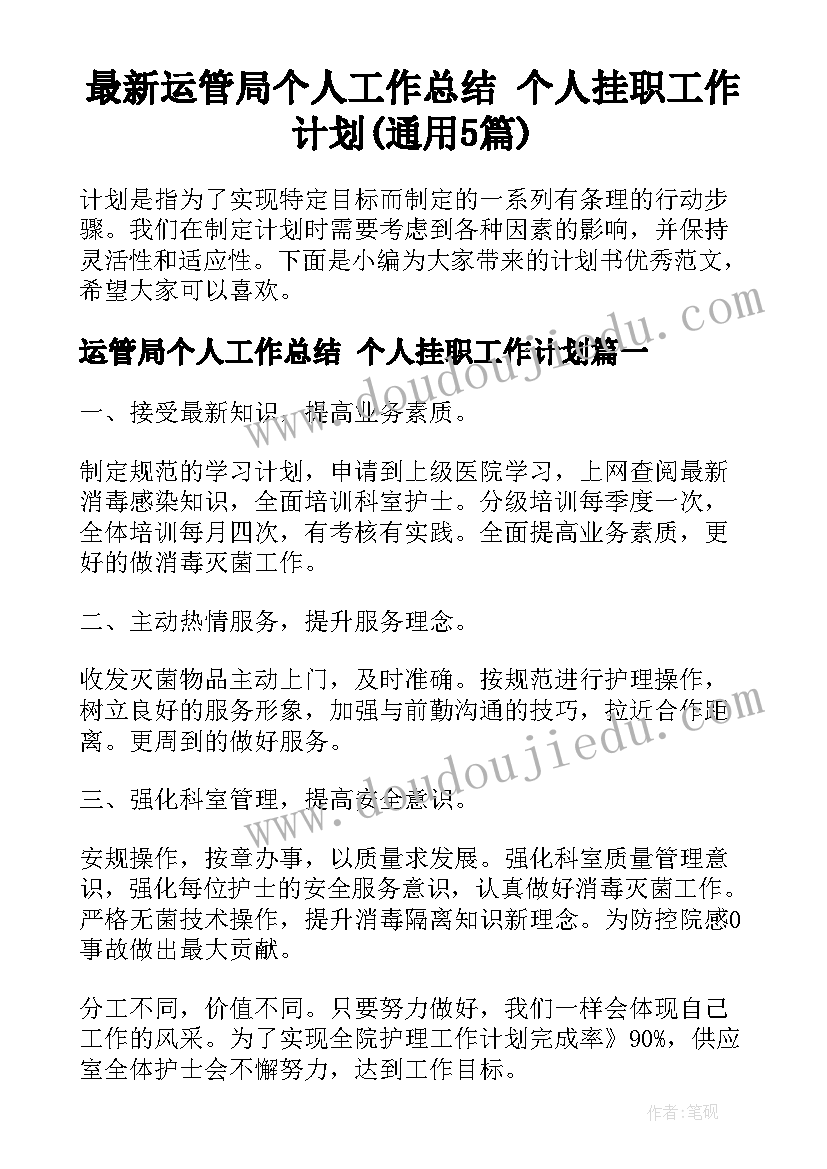 最新运管局个人工作总结 个人挂职工作计划(通用5篇)