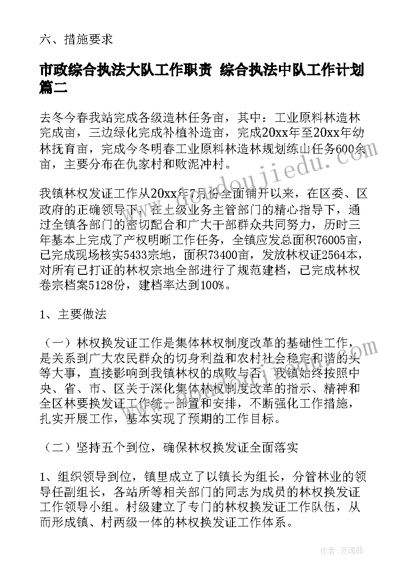 2023年市政综合执法大队工作职责 综合执法中队工作计划(实用5篇)