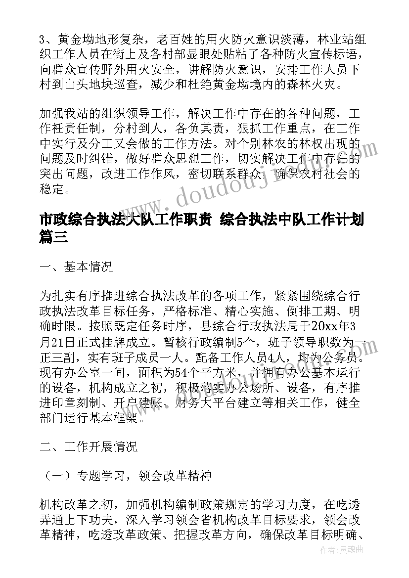 2023年市政综合执法大队工作职责 综合执法中队工作计划(实用5篇)