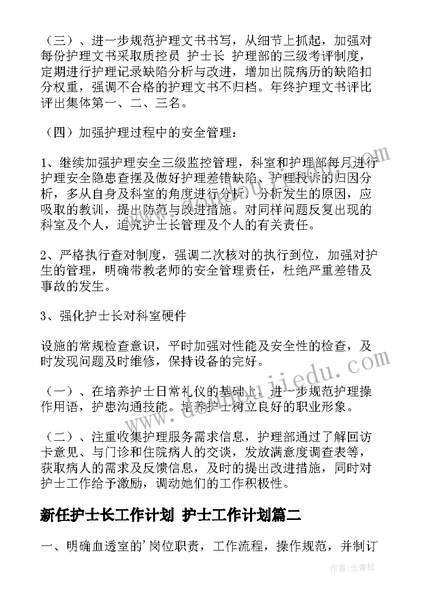 2023年新任护士长工作计划 护士工作计划(模板10篇)