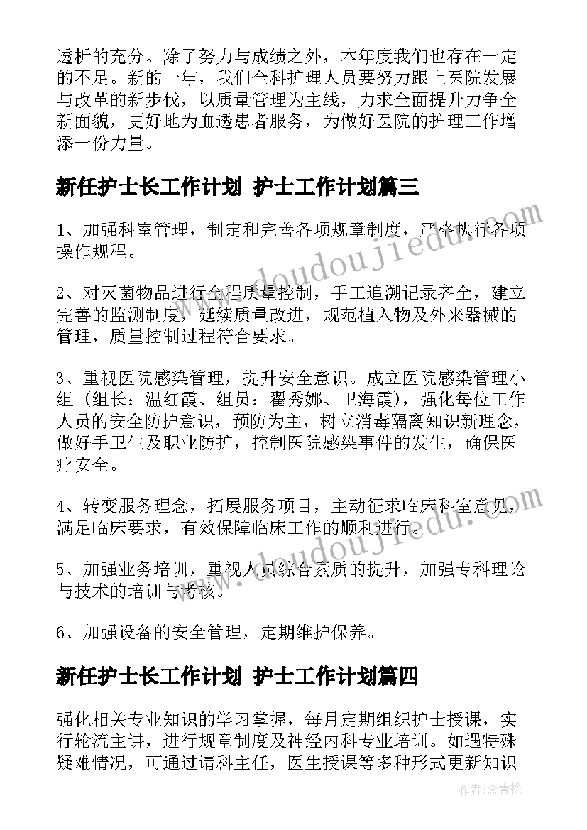 2023年新任护士长工作计划 护士工作计划(模板10篇)