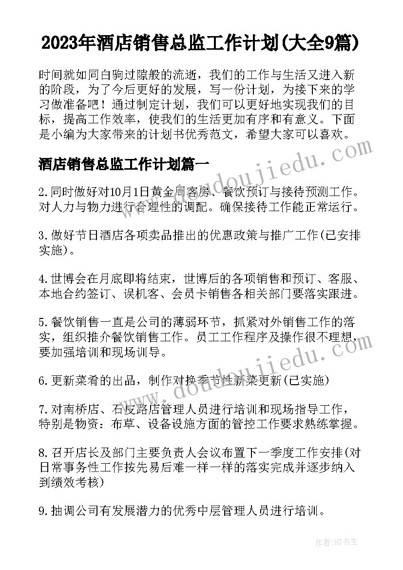 2023年酒店销售总监工作计划(大全9篇)