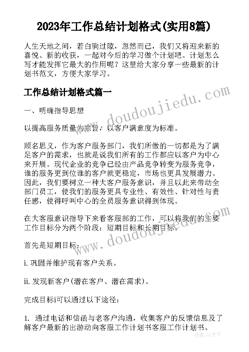 2023年工作总结计划格式(实用8篇)