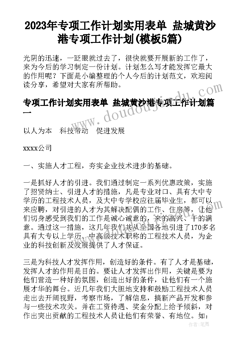 2023年专项工作计划实用表单 盐城黄沙港专项工作计划(模板5篇)