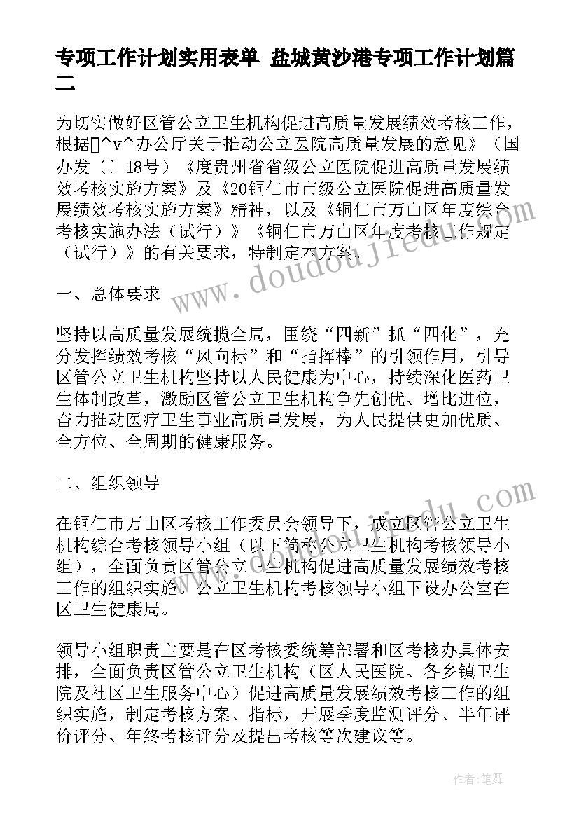 2023年专项工作计划实用表单 盐城黄沙港专项工作计划(模板5篇)