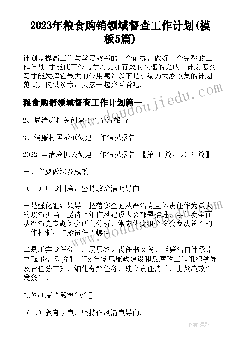 2023年粮食购销领域督查工作计划(模板5篇)