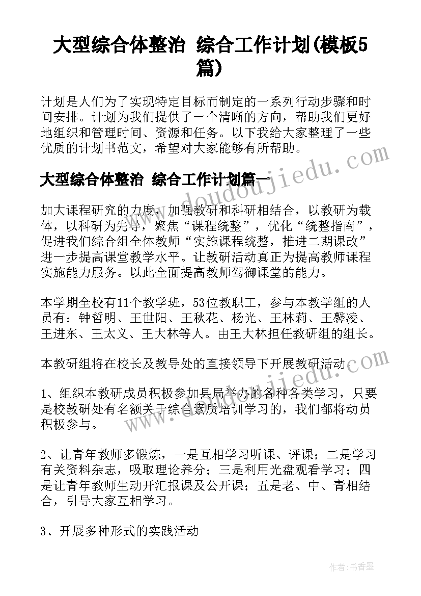 大型综合体整治 综合工作计划(模板5篇)