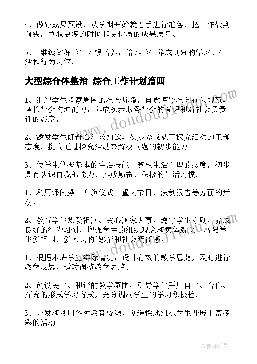 大型综合体整治 综合工作计划(模板5篇)