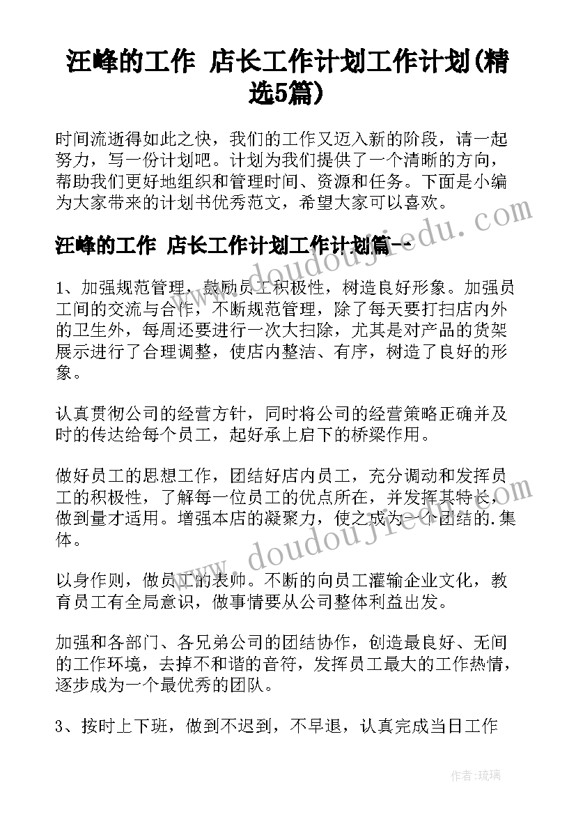 汪峰的工作 店长工作计划工作计划(精选5篇)