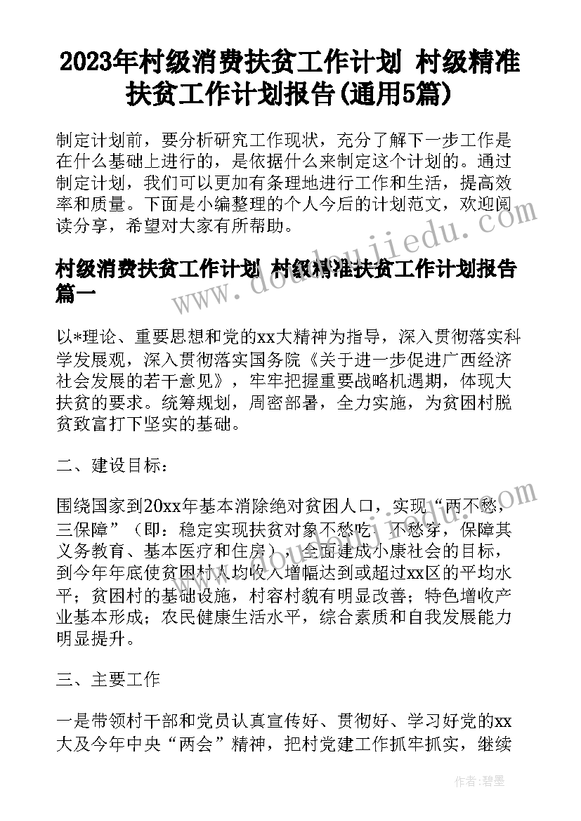 2023年村级消费扶贫工作计划 村级精准扶贫工作计划报告(通用5篇)