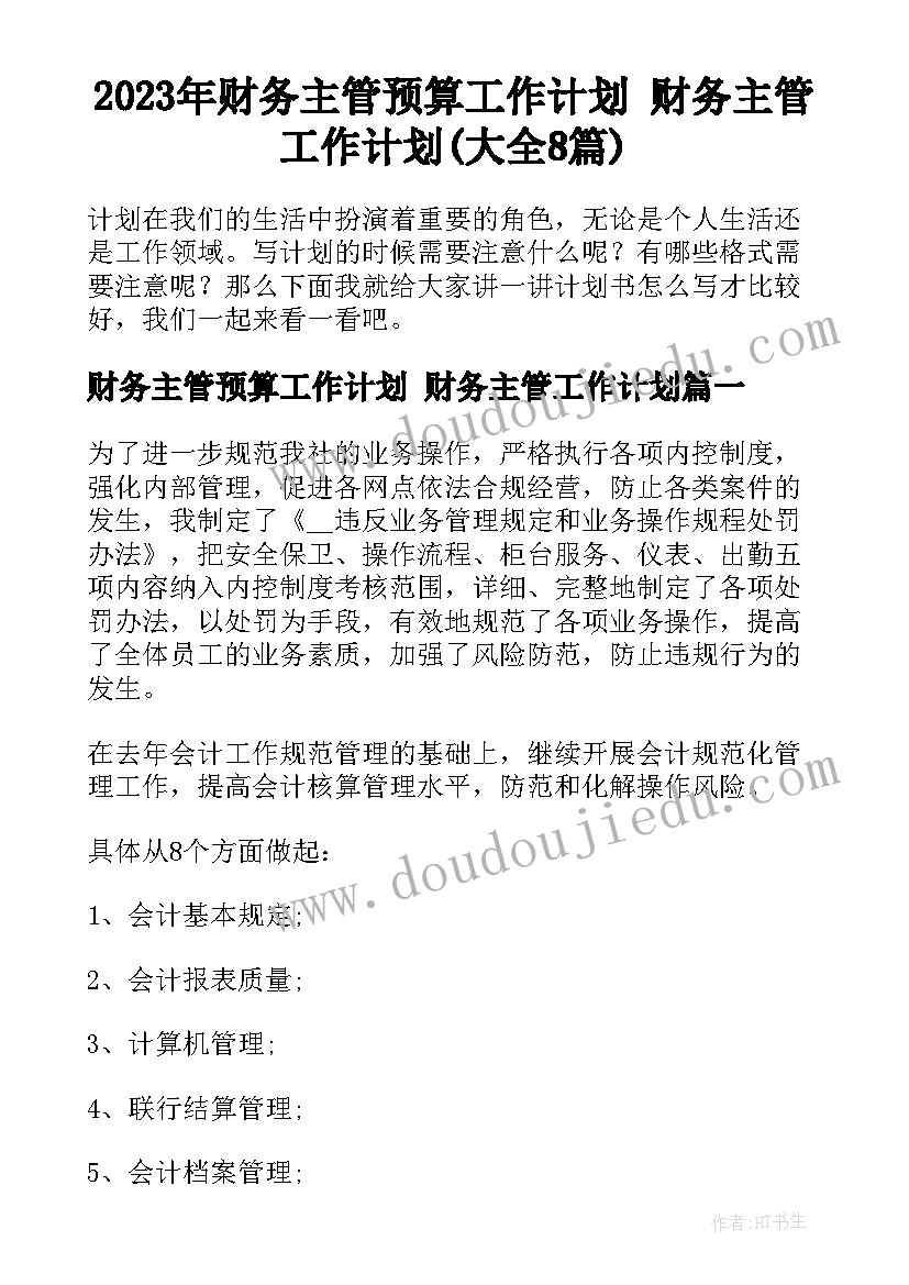 2023年财务主管预算工作计划 财务主管工作计划(大全8篇)