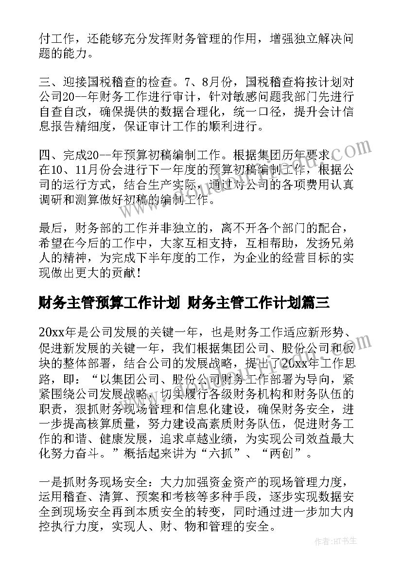 2023年财务主管预算工作计划 财务主管工作计划(大全8篇)