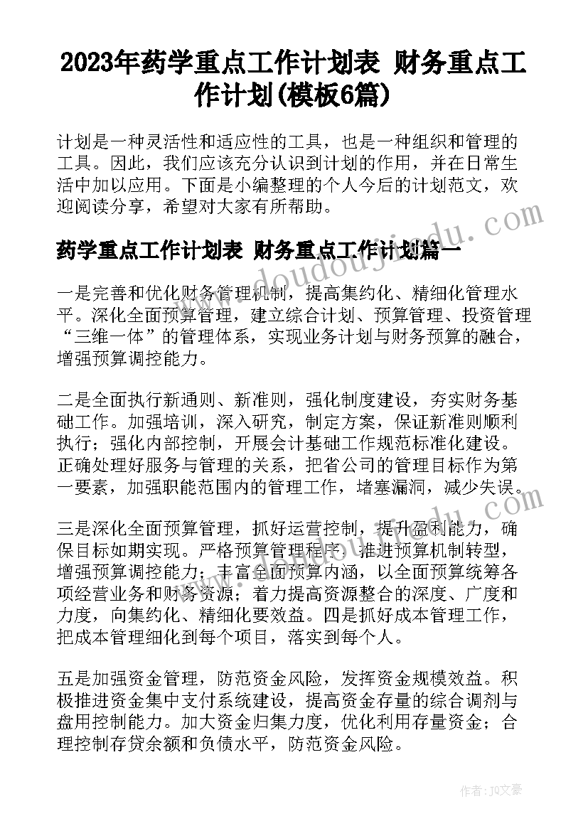 2023年药学重点工作计划表 财务重点工作计划(模板6篇)