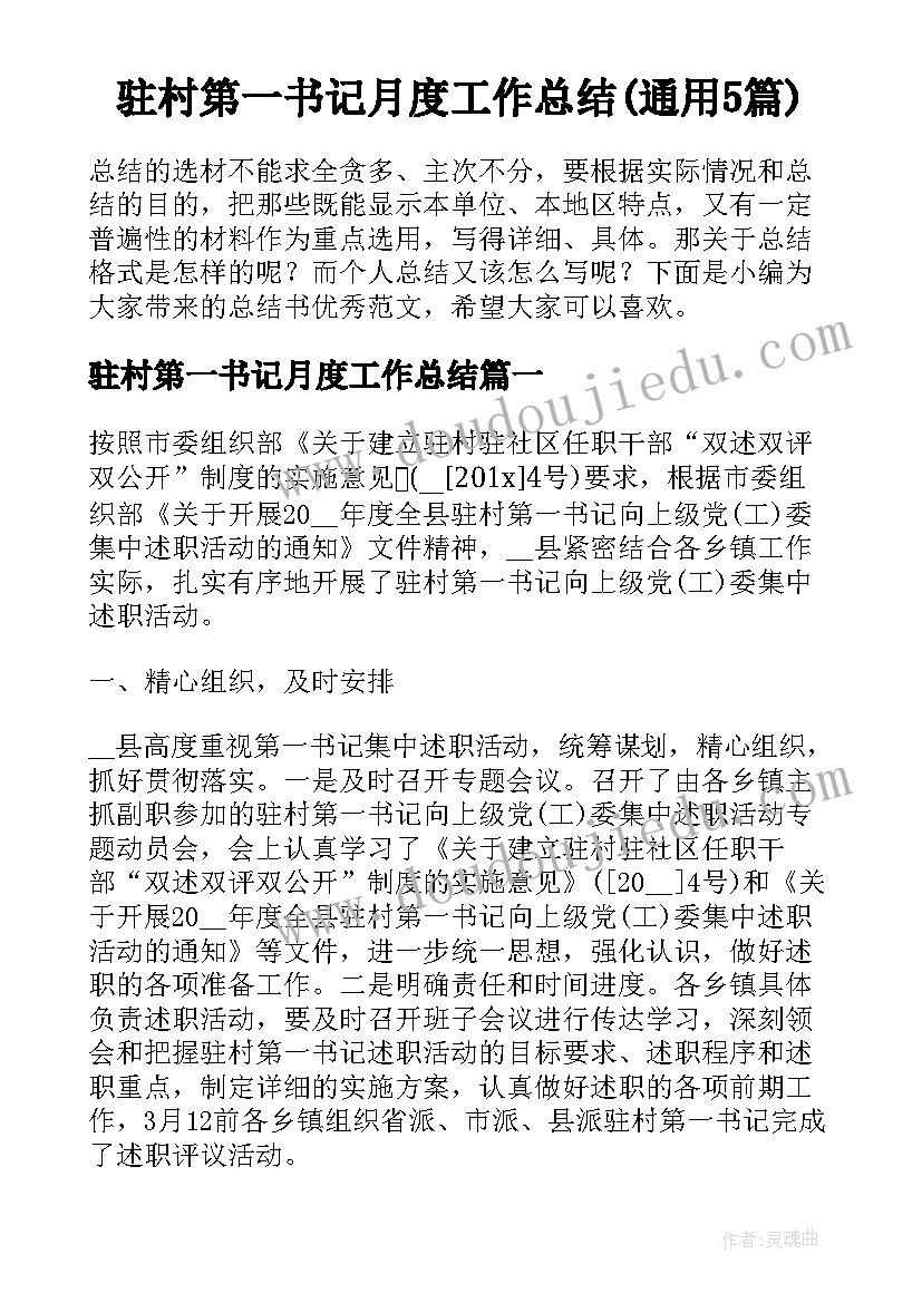 驻村第一书记月度工作总结(通用5篇)