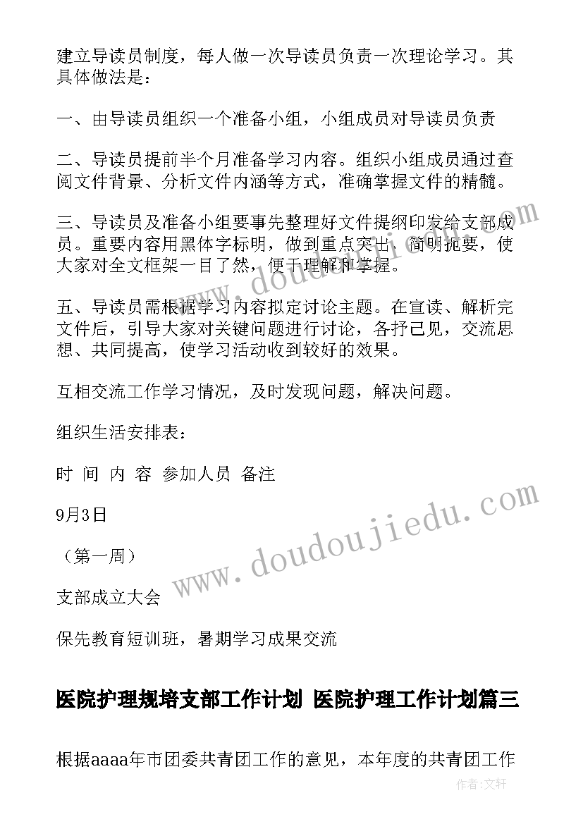 2023年医院护理规培支部工作计划 医院护理工作计划(通用5篇)