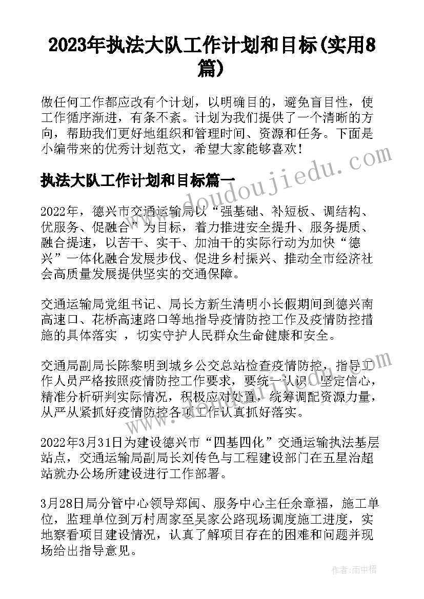 2023年执法大队工作计划和目标(实用8篇)