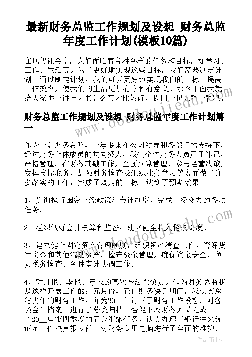 最新财务总监工作规划及设想 财务总监年度工作计划(模板10篇)