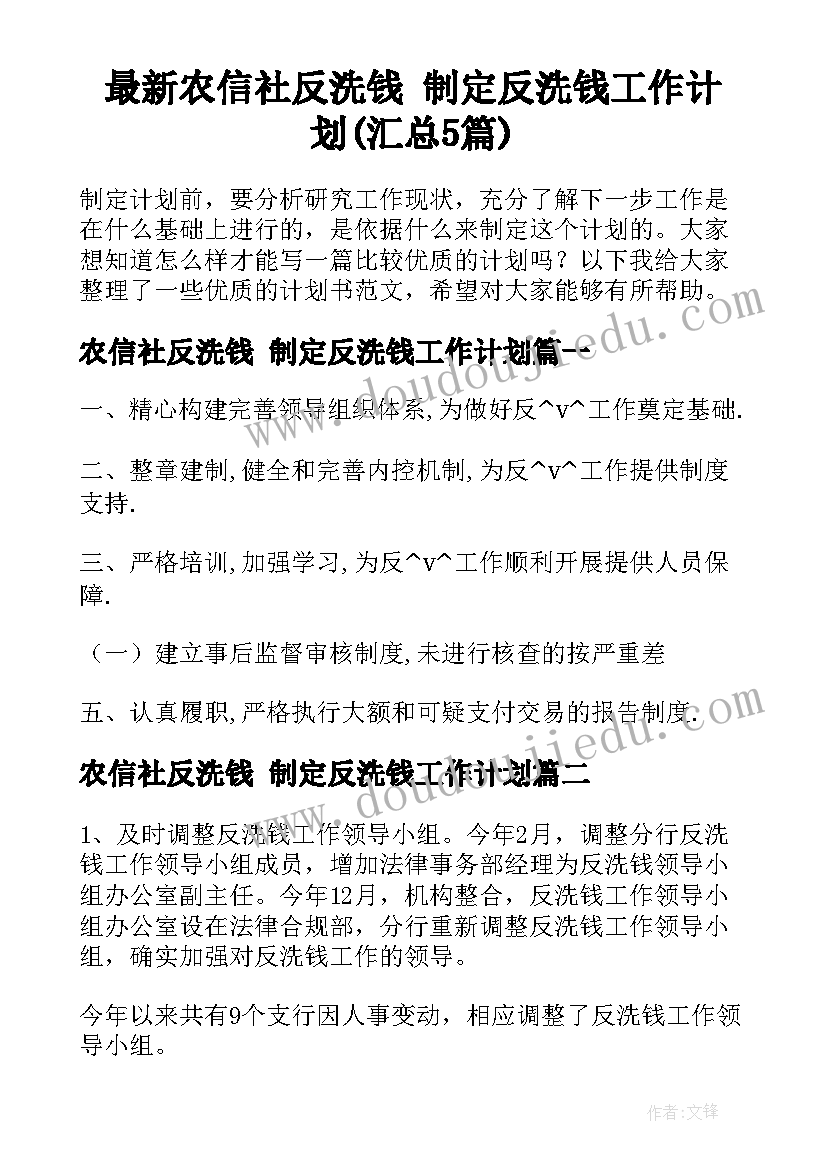 最新农信社反洗钱 制定反洗钱工作计划(汇总5篇)