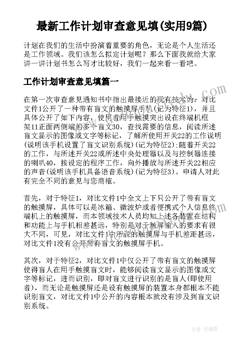 最新工作计划审查意见填(实用9篇)