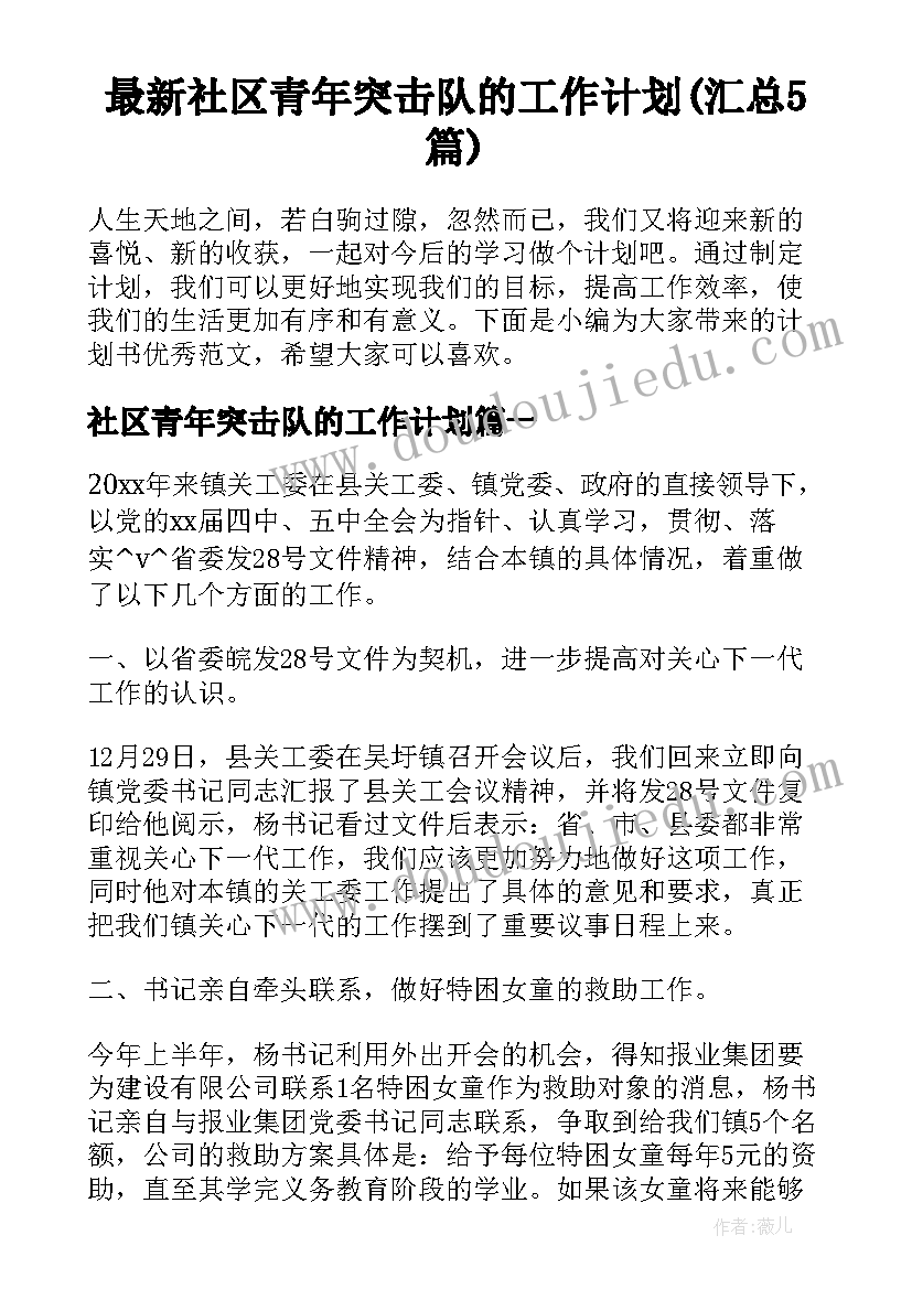 最新社区青年突击队的工作计划(汇总5篇)