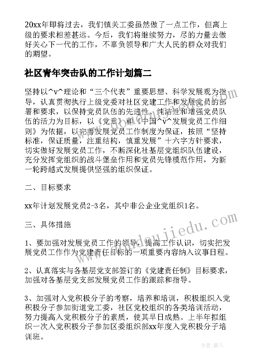 最新社区青年突击队的工作计划(汇总5篇)