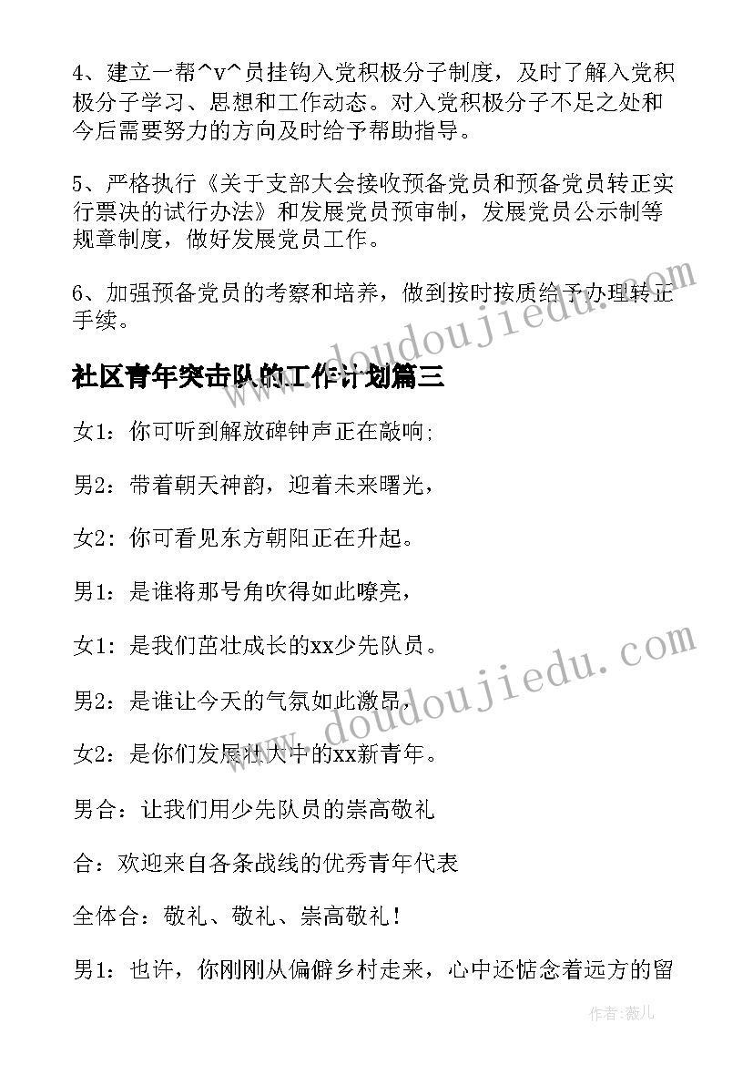 最新社区青年突击队的工作计划(汇总5篇)