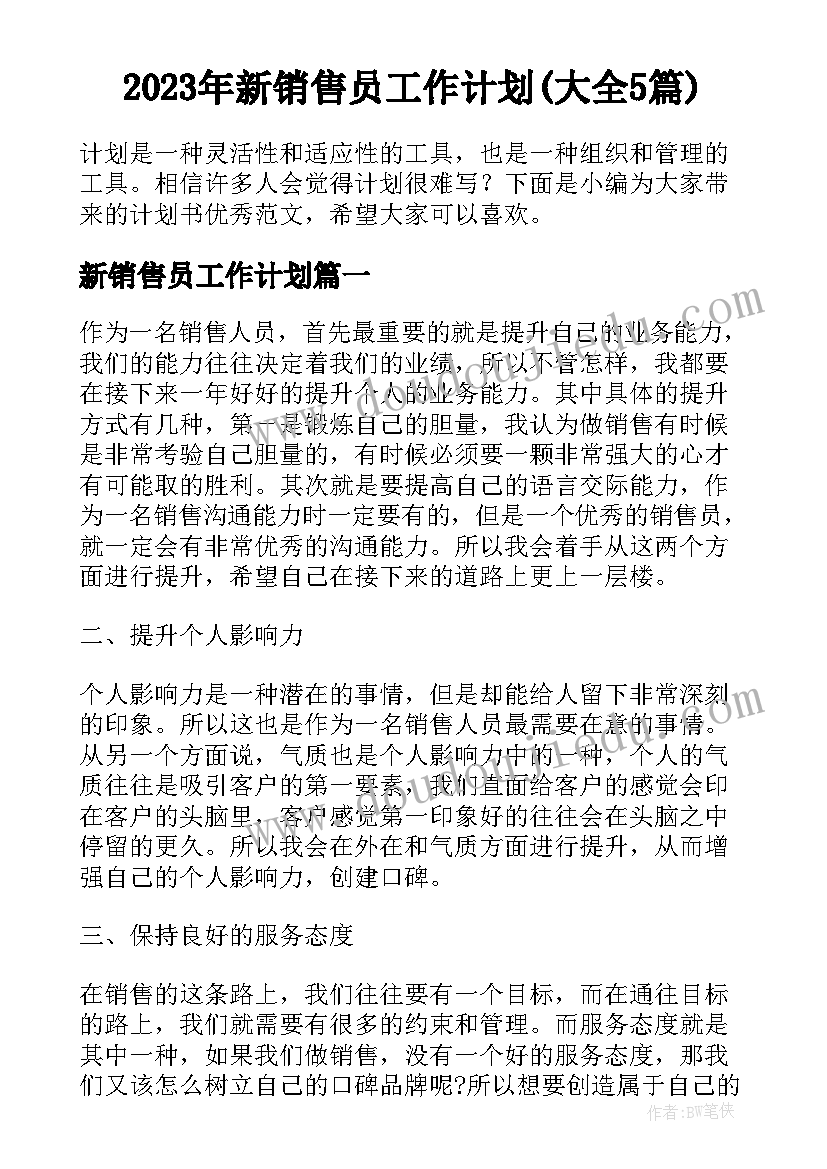 2023年新销售员工作计划(大全5篇)