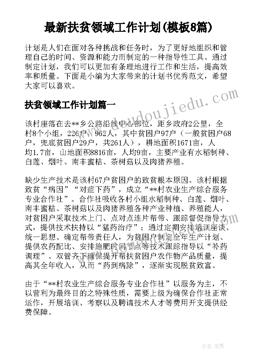 最新扶贫领域工作计划(模板8篇)