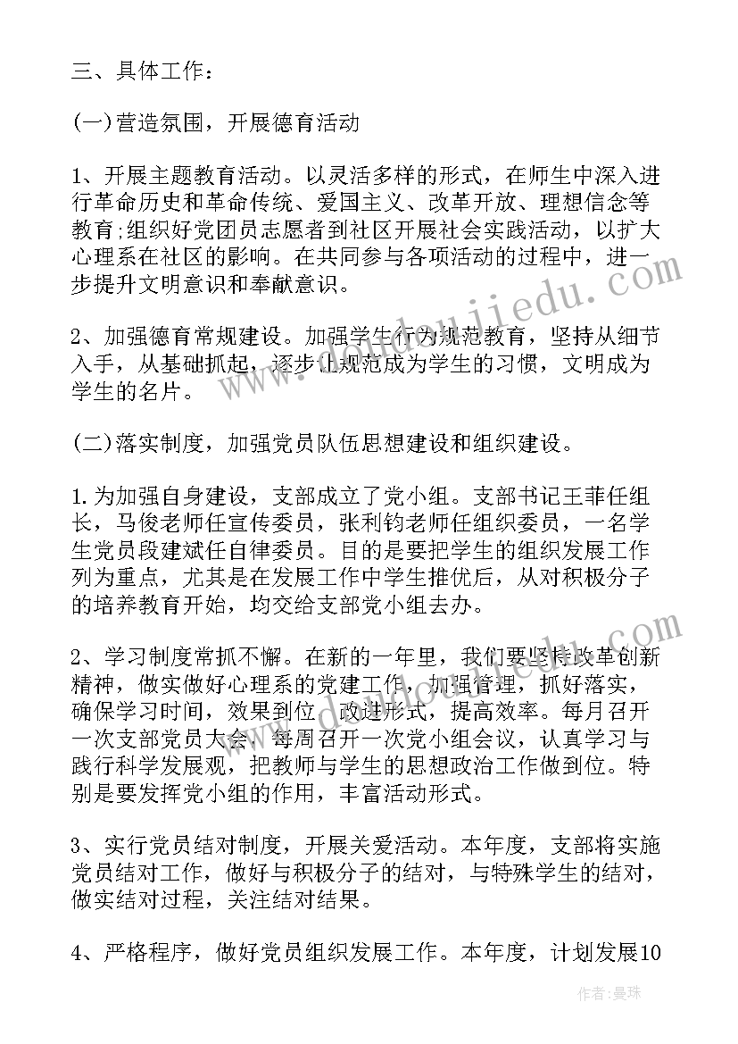 最新党支部副书记工作总结和计划(精选6篇)