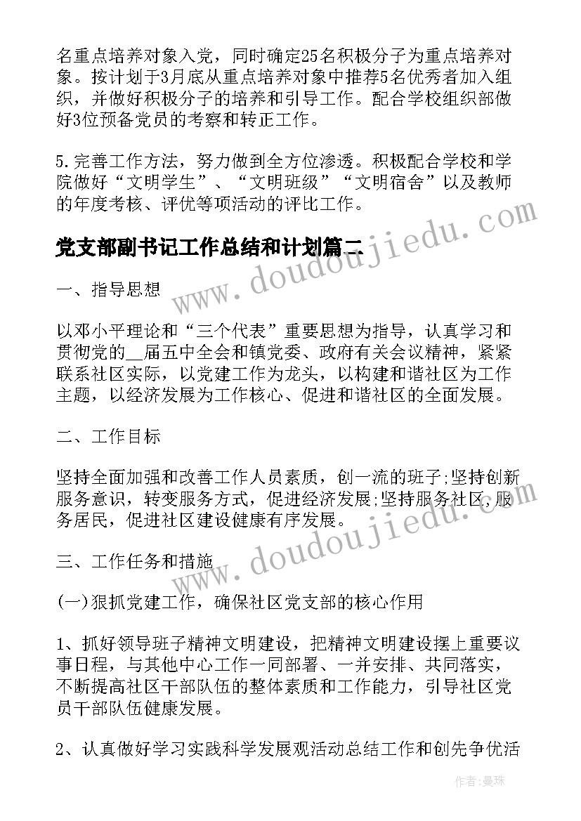 最新党支部副书记工作总结和计划(精选6篇)