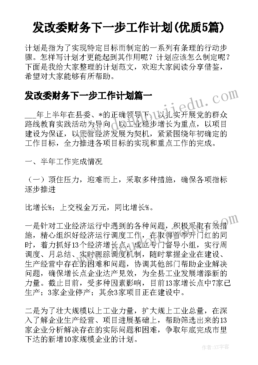 发改委财务下一步工作计划(优质5篇)