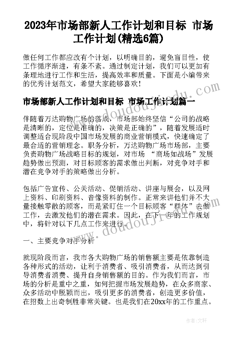 2023年市场部新人工作计划和目标 市场工作计划(精选6篇)