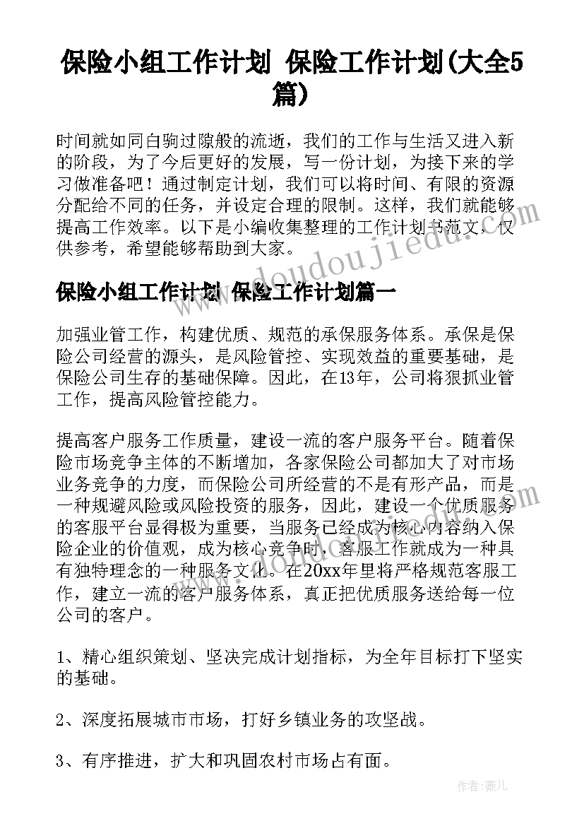 保险小组工作计划 保险工作计划(大全5篇)