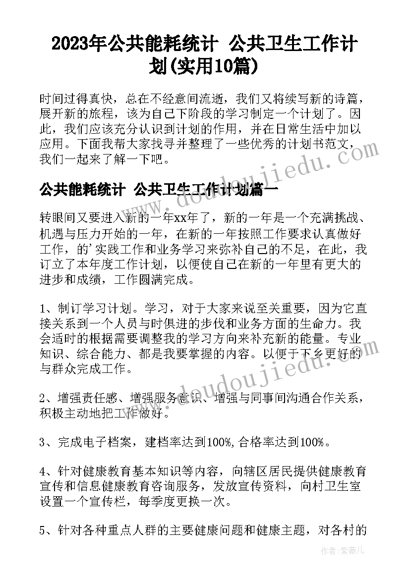 2023年公共能耗统计 公共卫生工作计划(实用10篇)