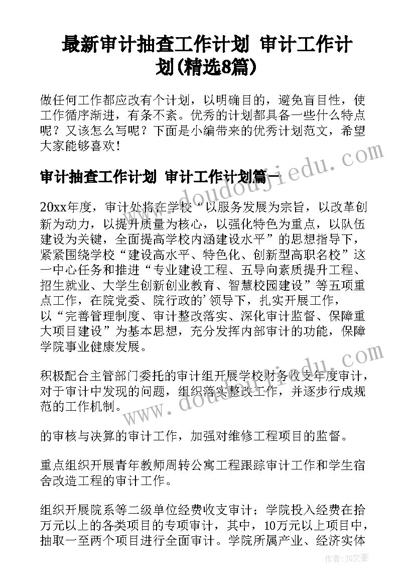 最新审计抽查工作计划 审计工作计划(精选8篇)