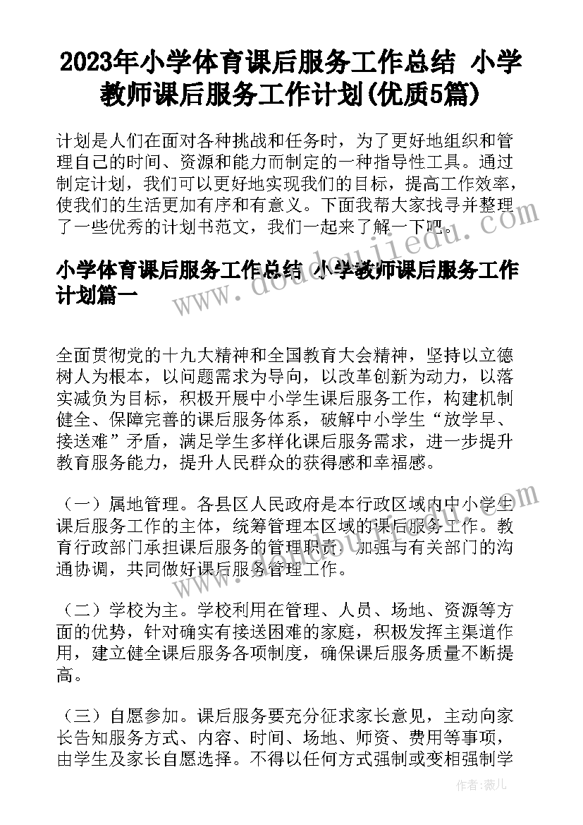 2023年小学体育课后服务工作总结 小学教师课后服务工作计划(优质5篇)