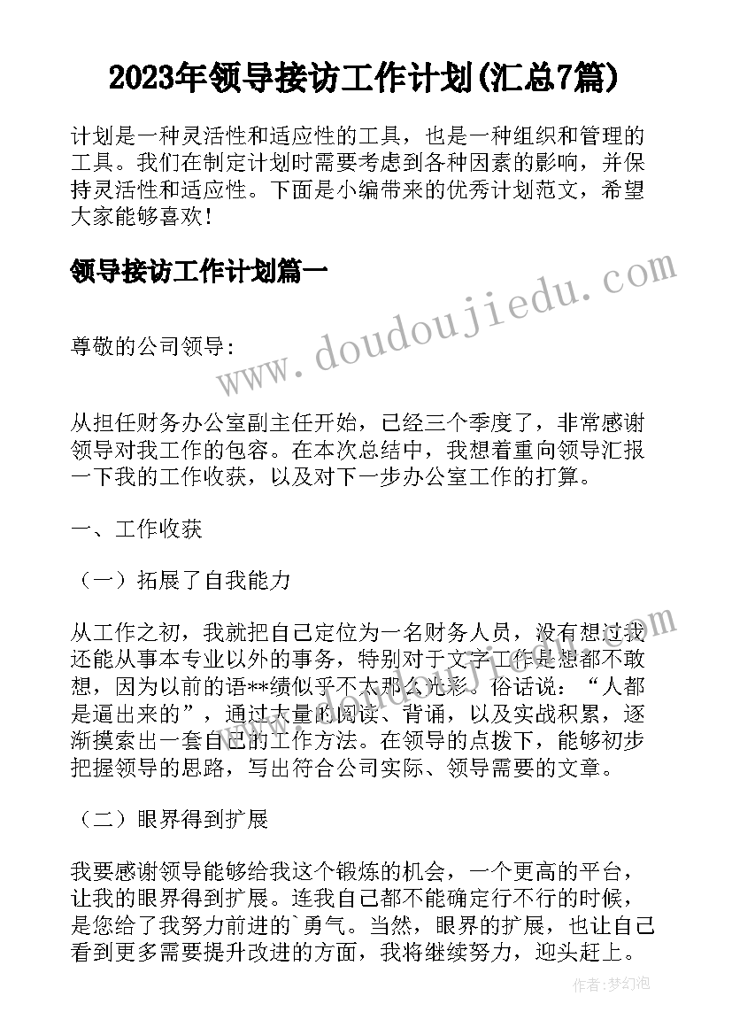 2023年领导接访工作计划(汇总7篇)