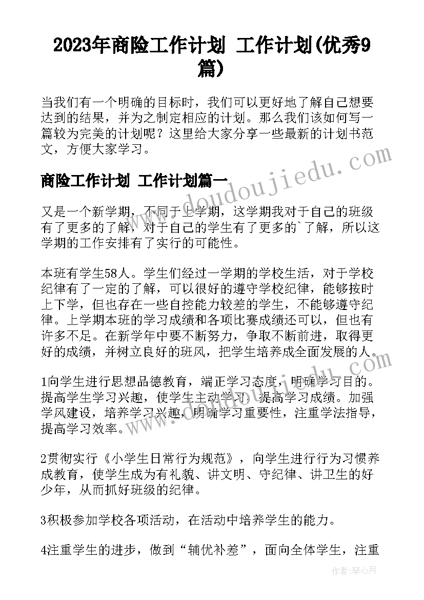 2023年商险工作计划 工作计划(优秀9篇)