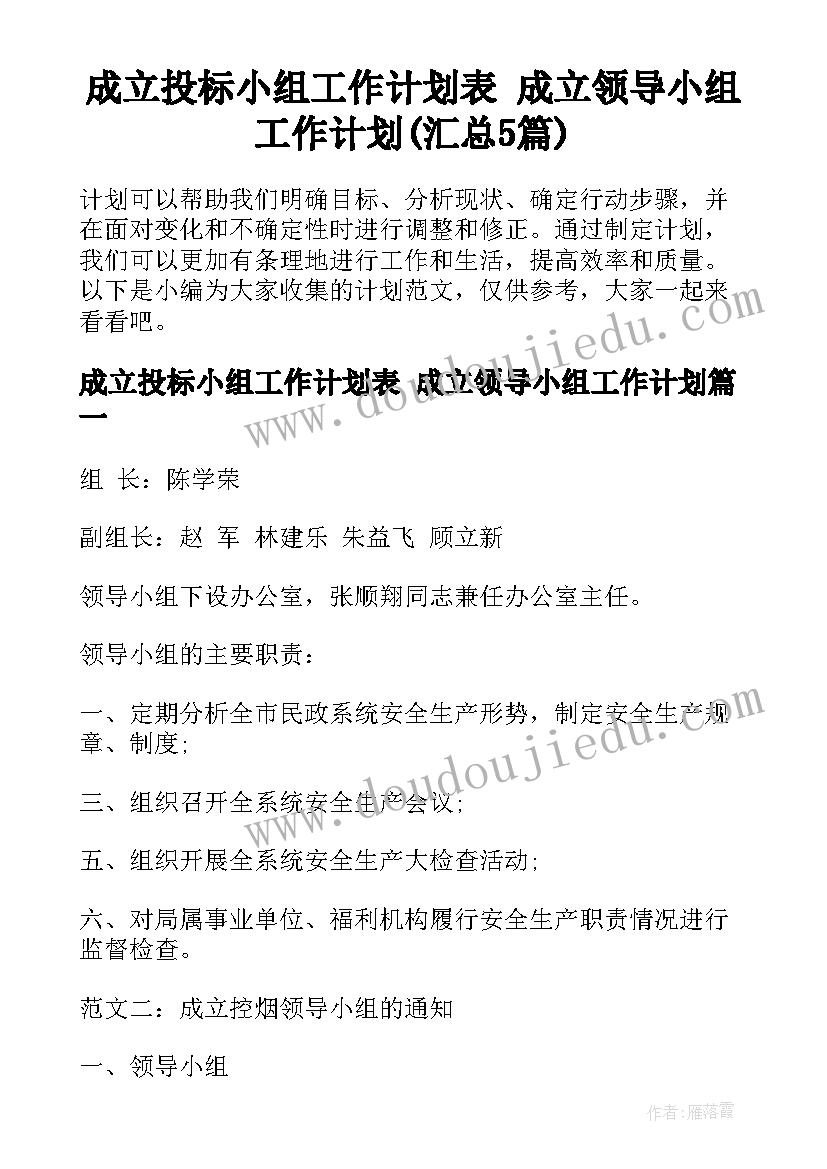 成立投标小组工作计划表 成立领导小组工作计划(汇总5篇)