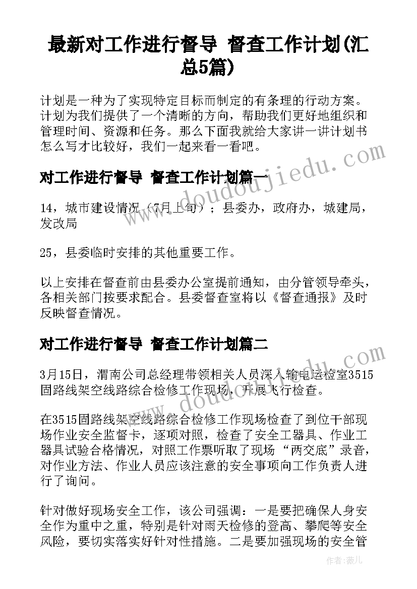 最新对工作进行督导 督查工作计划(汇总5篇)