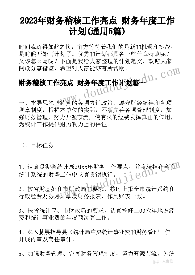 2023年财务稽核工作亮点 财务年度工作计划(通用5篇)