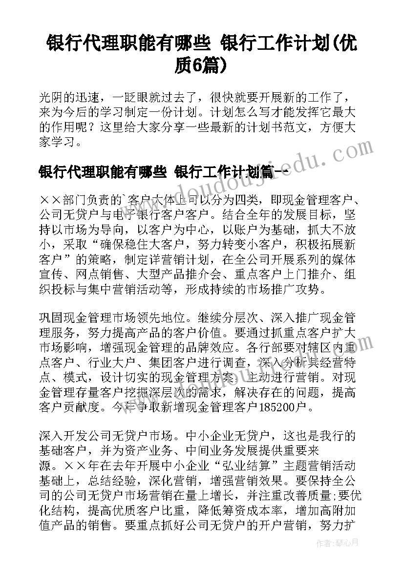 银行代理职能有哪些 银行工作计划(优质6篇)