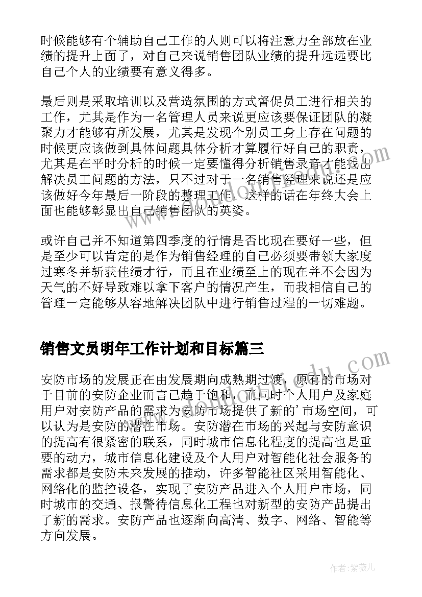 2023年销售文员明年工作计划和目标(通用10篇)