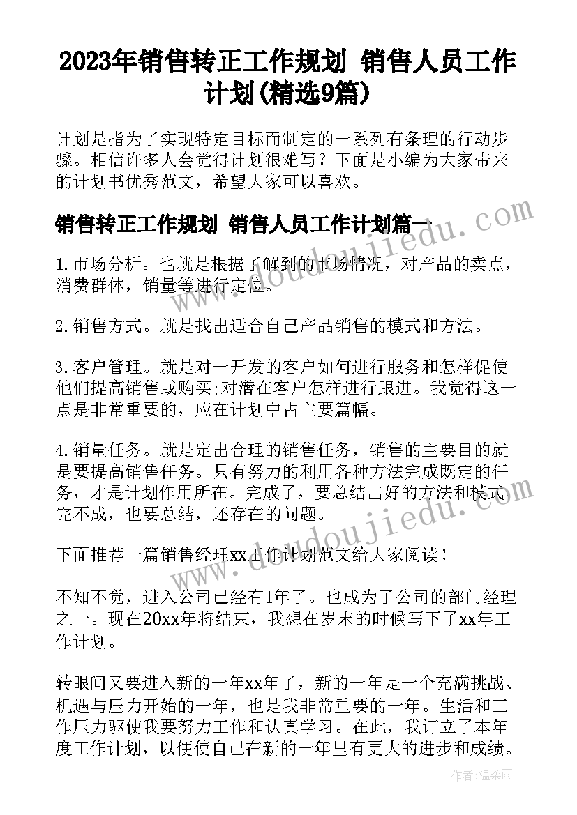 2023年销售转正工作规划 销售人员工作计划(精选9篇)