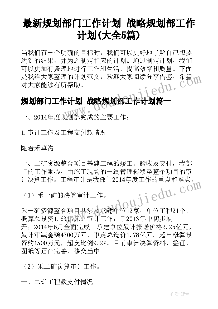 最新规划部门工作计划 战略规划部工作计划(大全5篇)