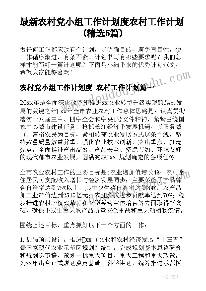 最新农村党小组工作计划度 农村工作计划(精选5篇)