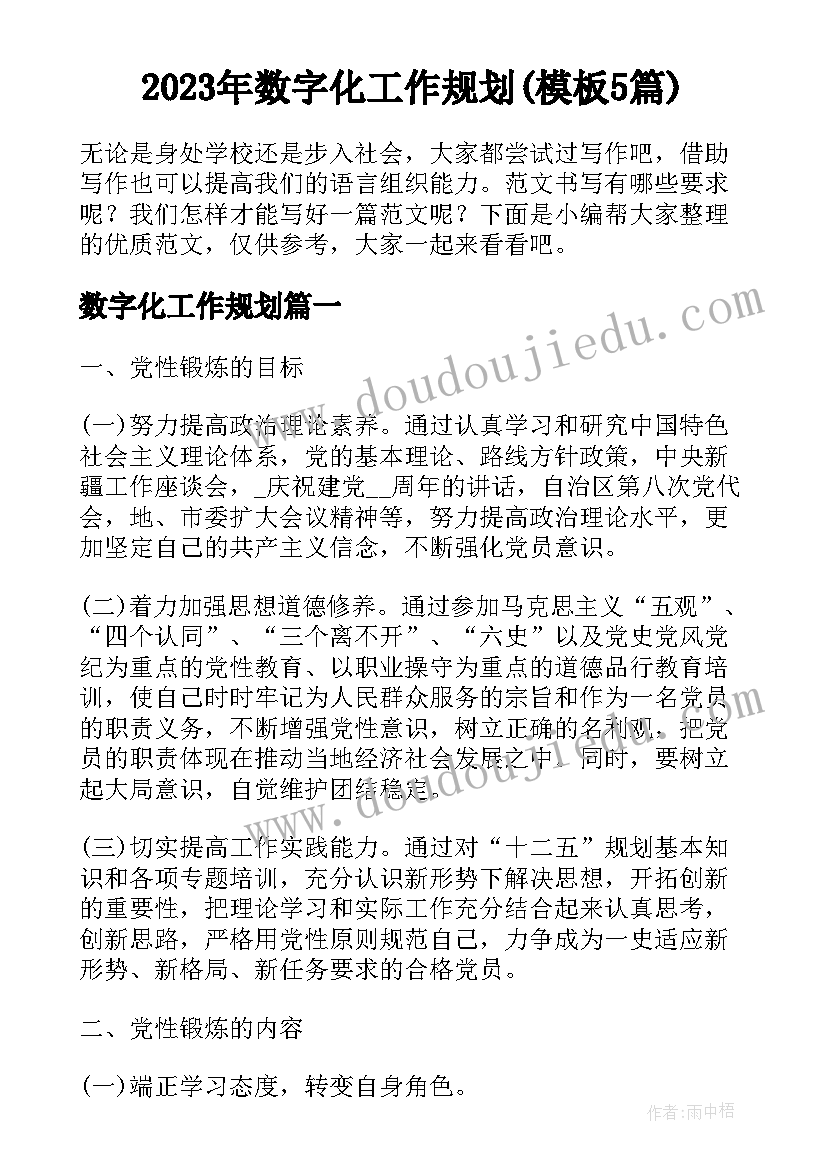 2023年数字化工作规划(模板5篇)