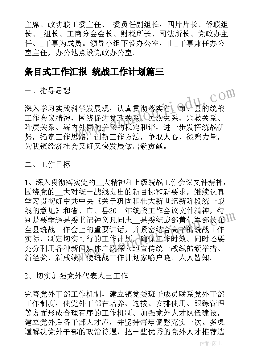 条目式工作汇报 统战工作计划(优秀5篇)