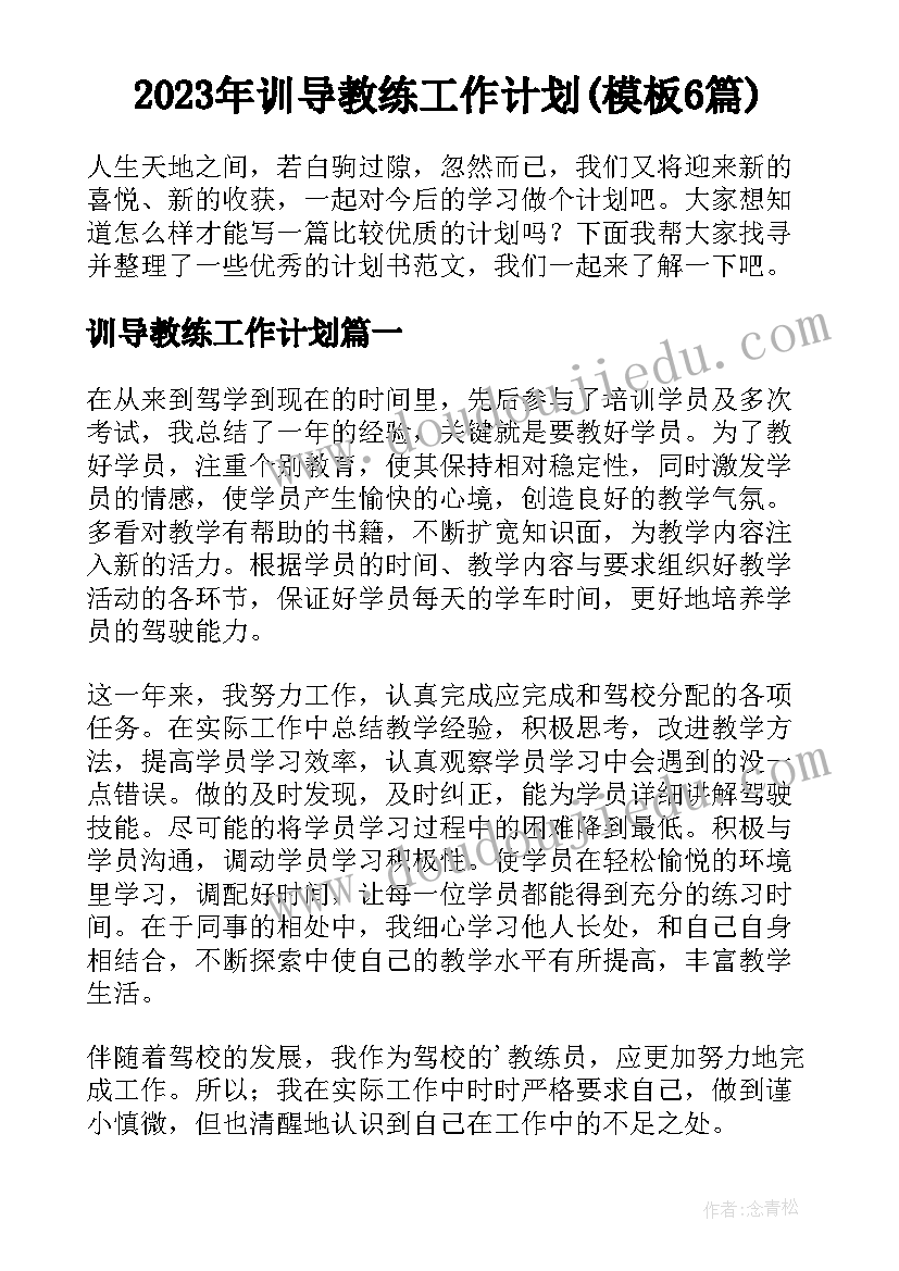 2023年训导教练工作计划(模板6篇)